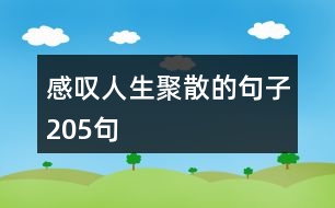 感嘆人生聚散的句子205句