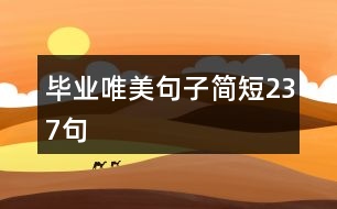 畢業(yè)唯美句子簡(jiǎn)短237句