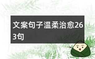 文案句子溫柔治愈263句