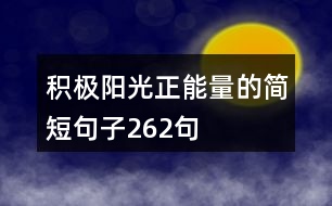 積極陽光正能量的簡(jiǎn)短句子262句