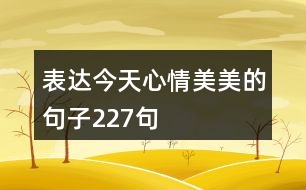 表達(dá)今天心情美美的句子227句