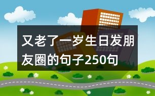 又老了一歲生日發(fā)朋友圈的句子250句