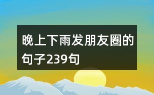 晚上下雨發(fā)朋友圈的句子239句