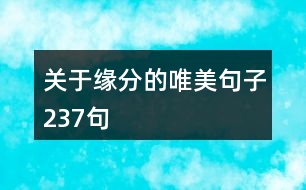 關(guān)于緣分的唯美句子237句