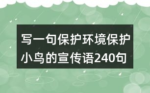 寫一句保護(hù)環(huán)境保護(hù)小鳥(niǎo)的宣傳語(yǔ)240句