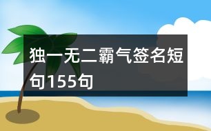 獨一無二霸氣簽名短句155句