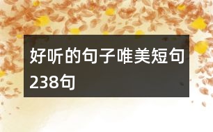 好聽(tīng)的句子唯美短句238句