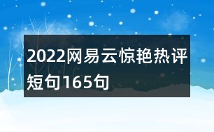 2022網(wǎng)易云驚艷熱評短句165句