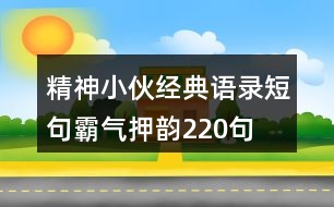 精神小伙經(jīng)典語(yǔ)錄短句霸氣、押韻220句