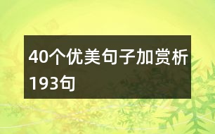 40個(gè)優(yōu)美句子加賞析193句