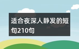 適合夜深人靜發(fā)的短句210句