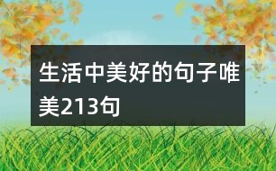 生活中美好的句子唯美213句