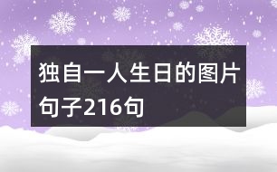 獨自一人生日的圖片句子216句