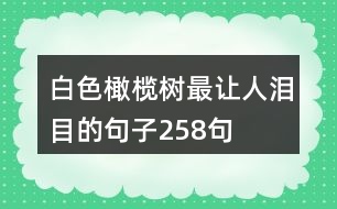 白色橄欖樹最讓人淚目的句子258句