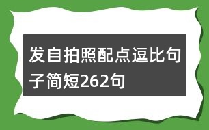 發(fā)自拍照配點(diǎn)逗比句子簡短262句