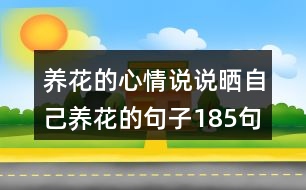 養(yǎng)花的心情說(shuō)說(shuō)曬自己養(yǎng)花的句子185句