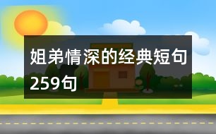 姐弟情深的經典短句259句