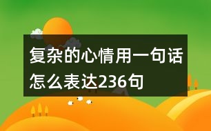 復(fù)雜的心情用一句話怎么表達236句