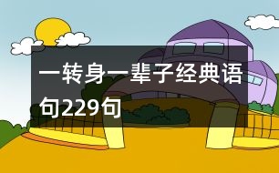 一轉(zhuǎn)身一輩子經(jīng)典語句229句