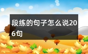 段練的句子怎么說206句