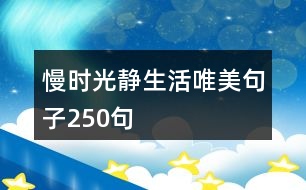 慢時光靜生活唯美句子250句