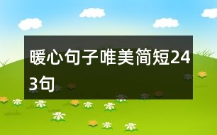 暖心句子唯美簡(jiǎn)短243句