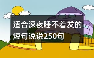 適合深夜睡不著發(fā)的短句說(shuō)說(shuō)250句