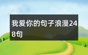 我愛你的句子浪漫248句