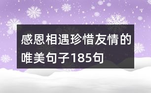 感恩相遇珍惜友情的唯美句子185句