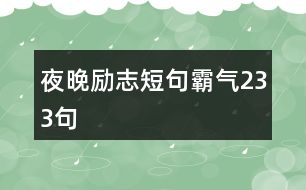 夜晚勵(lì)志短句霸氣233句