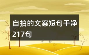 自拍的文案短句干凈217句