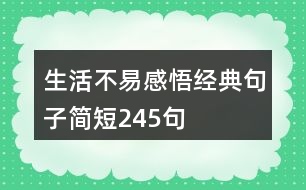 生活不易感悟經(jīng)典句子簡短245句