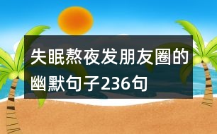 失眠熬夜發(fā)朋友圈的幽默句子236句