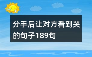 分手后讓對方看到哭的句子189句