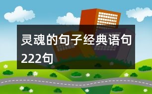 靈魂的句子經(jīng)典語句222句