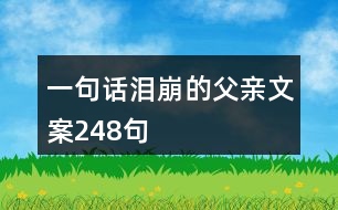 一句話淚崩的父親文案248句