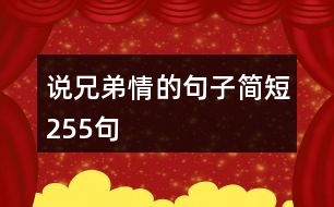 說(shuō)兄弟情的句子簡(jiǎn)短255句