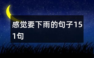 感覺要下雨的句子151句