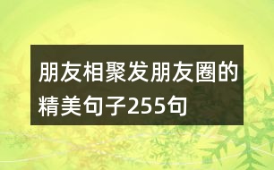 朋友相聚發(fā)朋友圈的精美句子255句