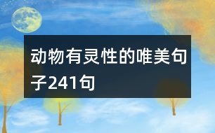 動物有靈性的唯美句子241句