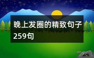 晚上發(fā)圈的精致句子259句