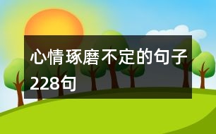 心情琢磨不定的句子228句