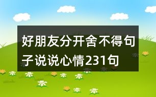 好朋友分開(kāi)舍不得句子說(shuō)說(shuō)心情231句