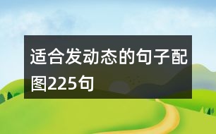 適合發(fā)動態(tài)的句子配圖225句