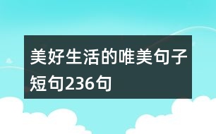 美好生活的唯美句子短句236句