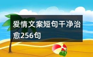 愛(ài)情文案短句干凈治愈256句