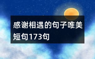 感謝相遇的句子唯美短句173句