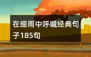 在細(xì)雨中呼喊經(jīng)典句子185句