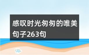 感嘆時(shí)光匆匆的唯美句子263句