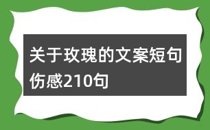 關(guān)于玫瑰的文案短句傷感210句